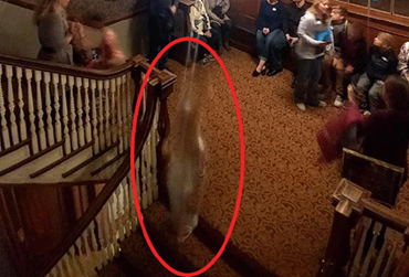 The Haunted Legacy of the Stanley Hotel
