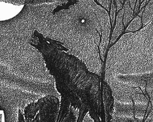 The Evolution of the Werewolf: From Ancient Myth to Modern Horror